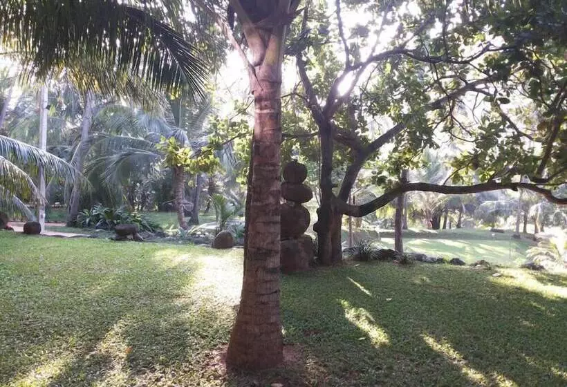 Hotelli Brook Boutique