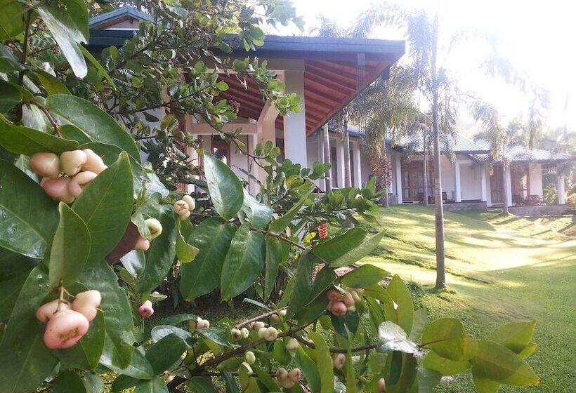 בית מלון כפרי Brook Boutique