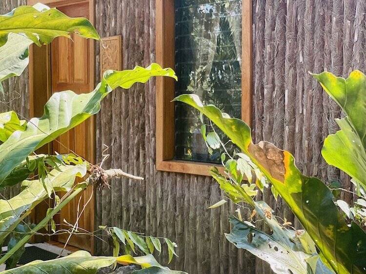 בית מלון כפרי Mariposa Jungle Lodge