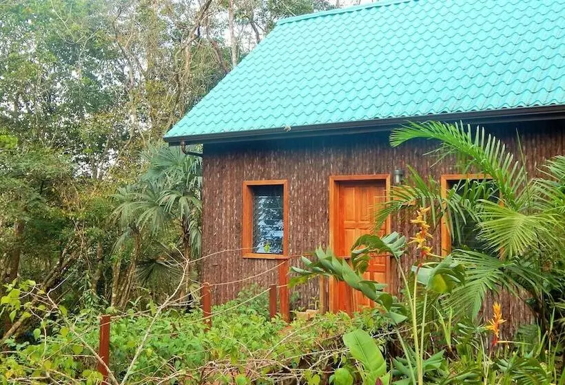 Hotelli Mariposa Jungle Lodge