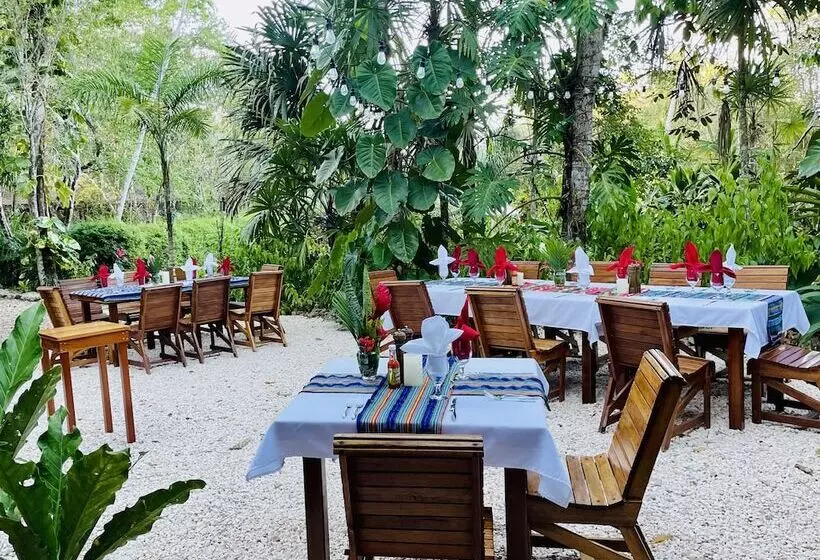 Hotelli Mariposa Jungle Lodge