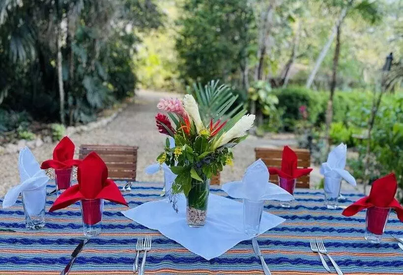 Hotelli Mariposa Jungle Lodge