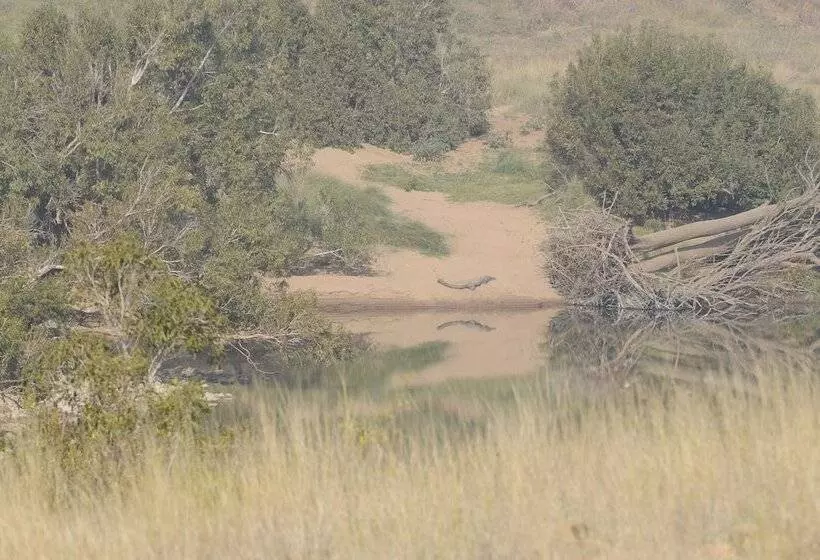 Hotelli Pugdundee Safaris   Ken River Lodge