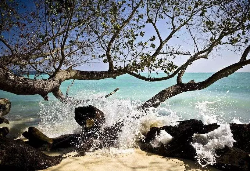 Hotelli The Flying Elephant