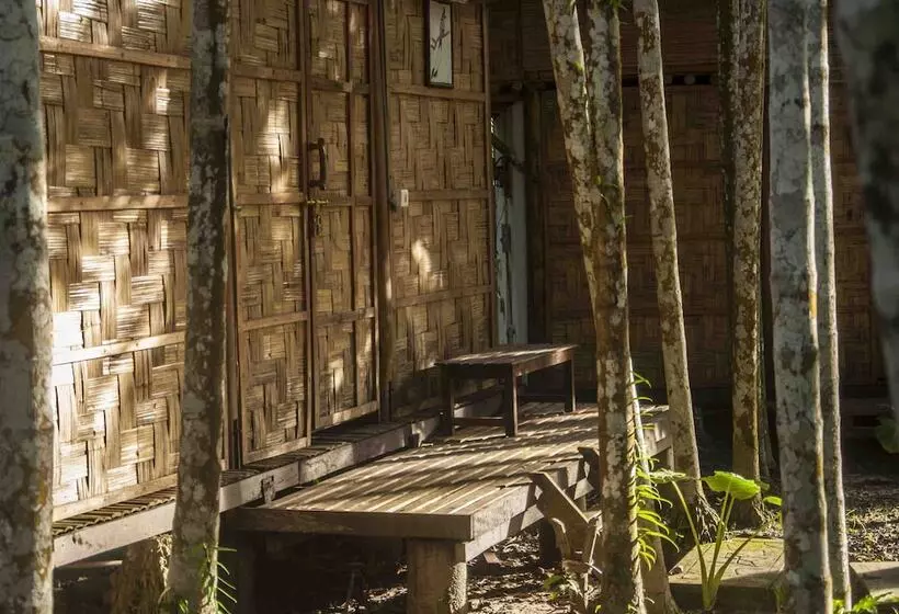 Hotelli The Flying Elephant