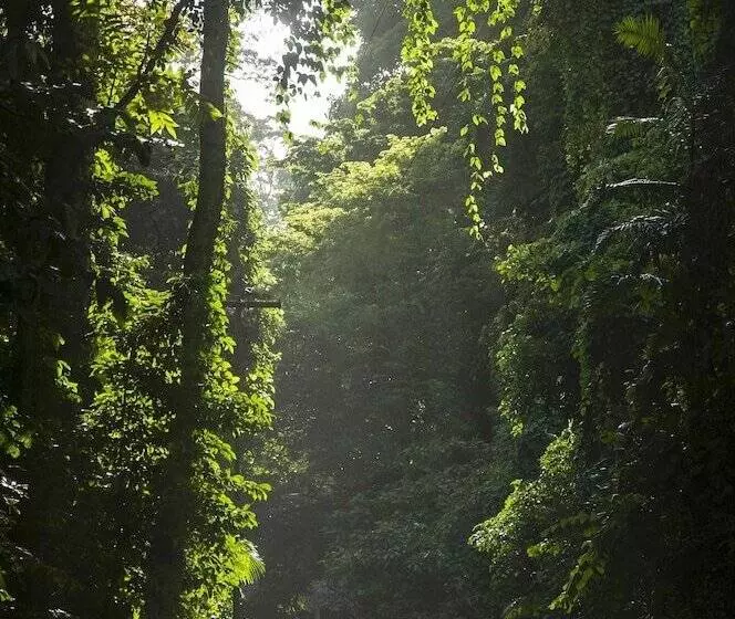 Hotelli The Flying Elephant