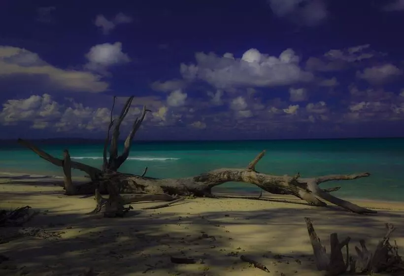 Hotelli The Flying Elephant