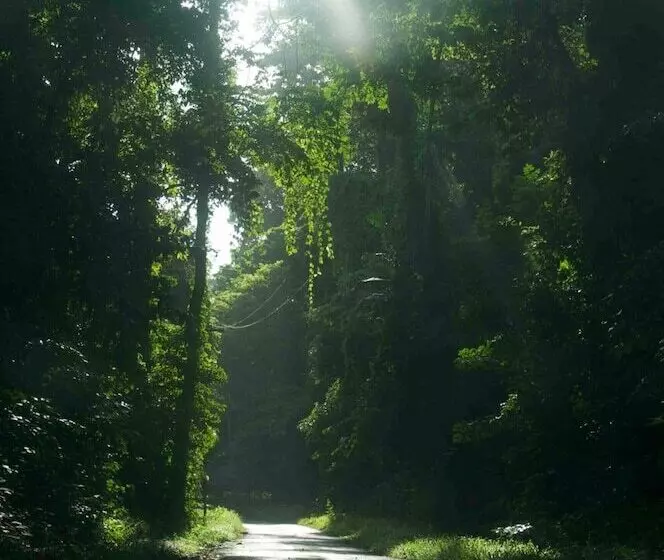 Hotelli The Flying Elephant