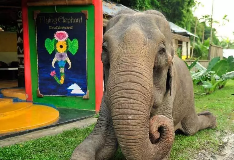 Hotelli The Flying Elephant