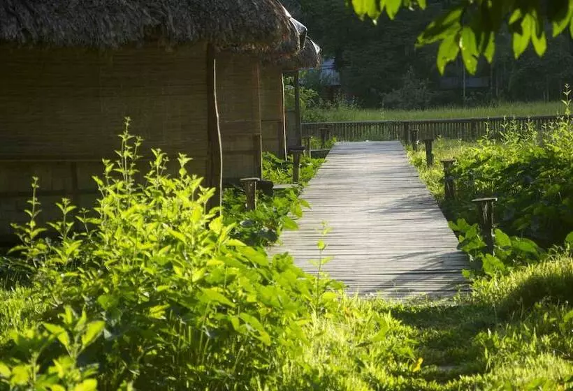 Hotelli The Flying Elephant