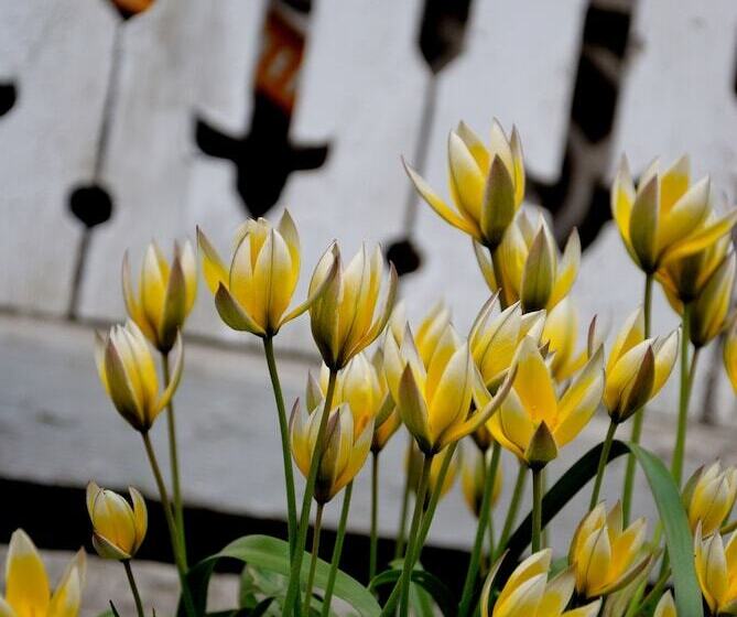 Nästegården Bed & Breakfast