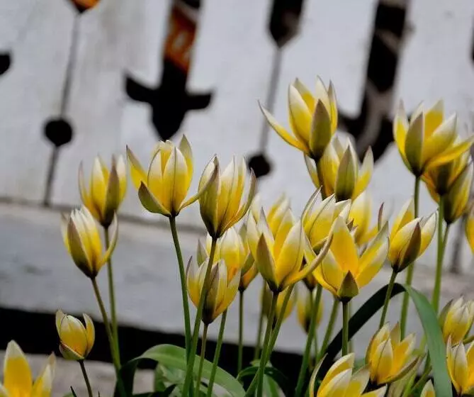 Nästegården Bed & Breakfast