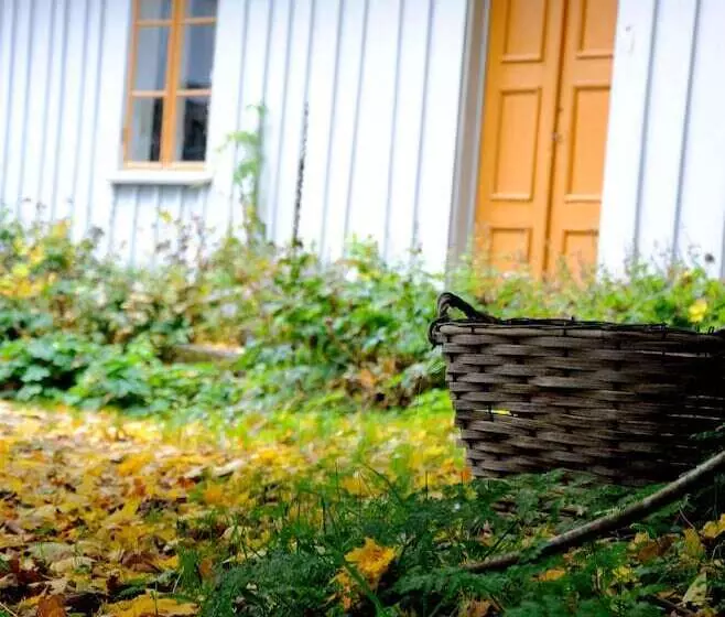 Nästegården Bed & Breakfast