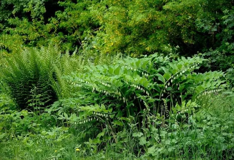 Nästegården Bed & Breakfast