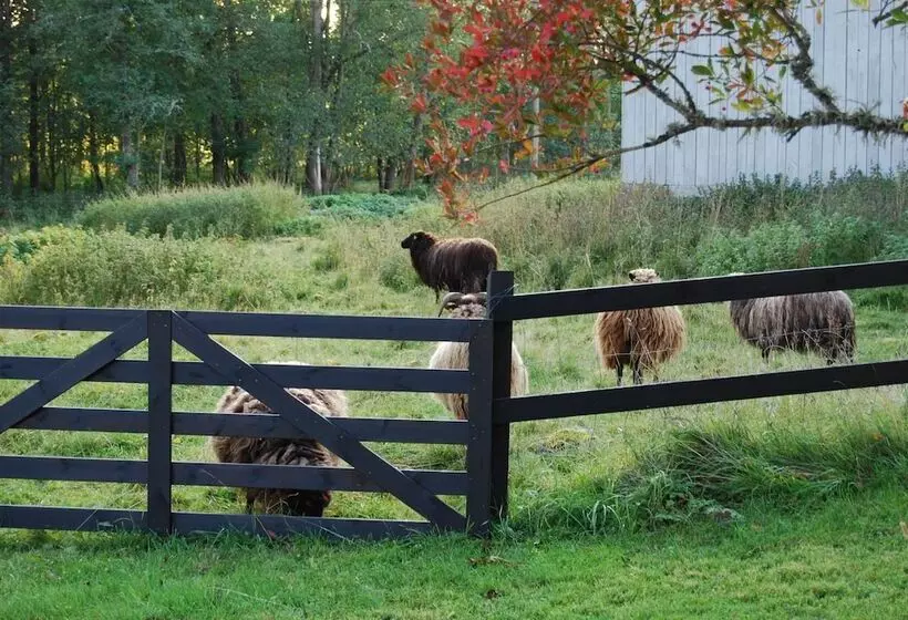 Nästegården Bed & Breakfast
