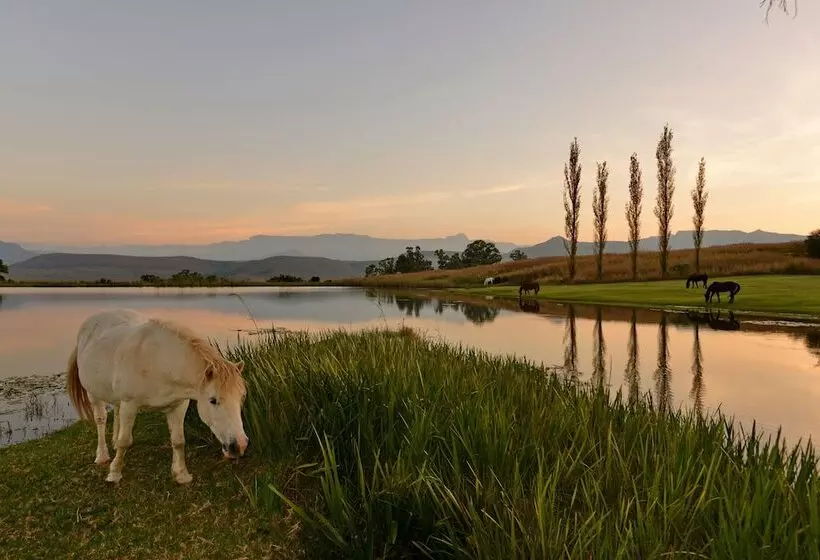 Majatalo Montusi Mountain Lodge