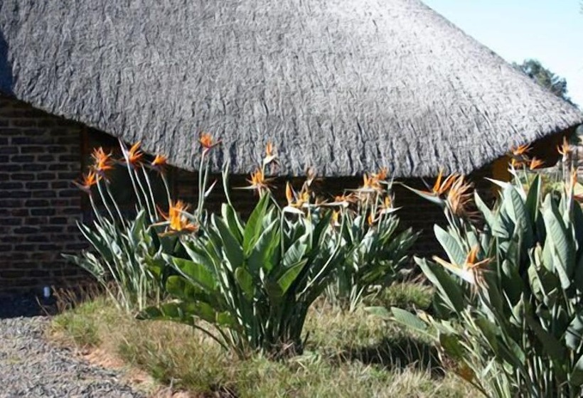 Bed & Breakfast African Flair Country Lodge