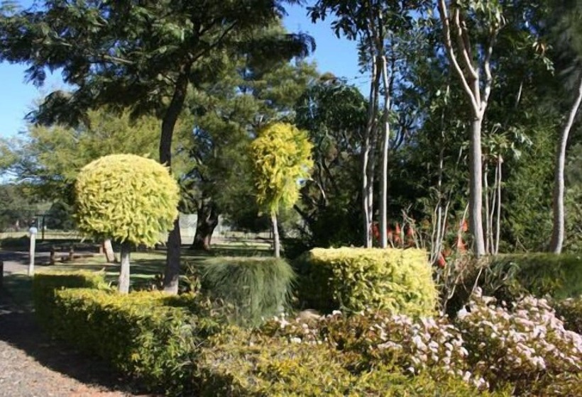 Bed & Breakfast African Flair Country Lodge