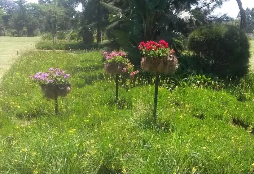 تختخواب و صبحانه African Flair Country Lodge