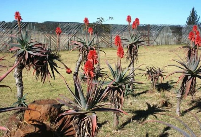 Bed & Breakfast African Flair Country Lodge