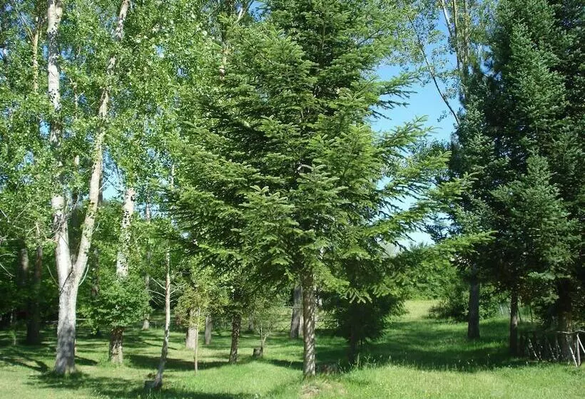 Hotelli Camping Rio Verde