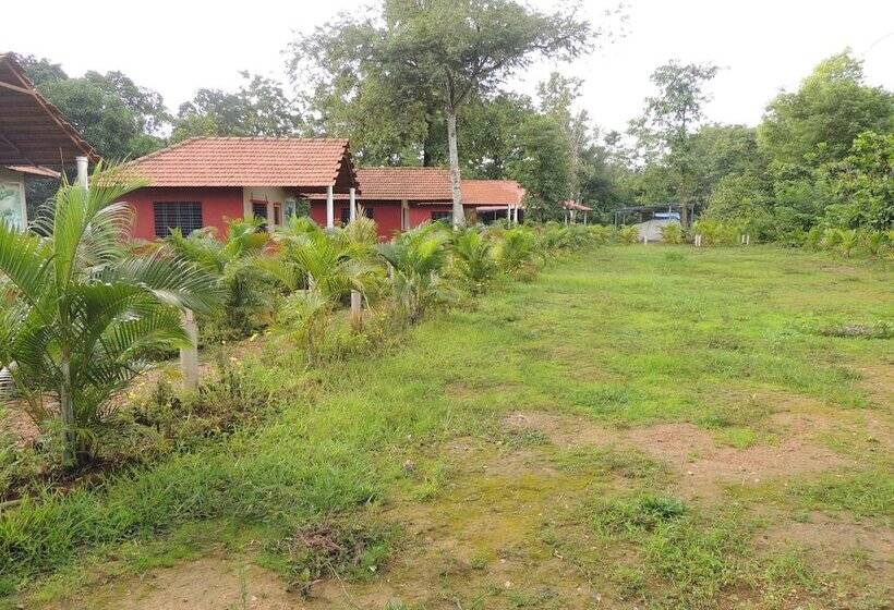 ホテル Jungle Nest Homestay