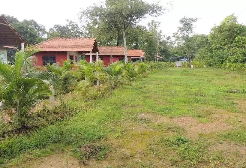 Hotelli Jungle Nest Homestay