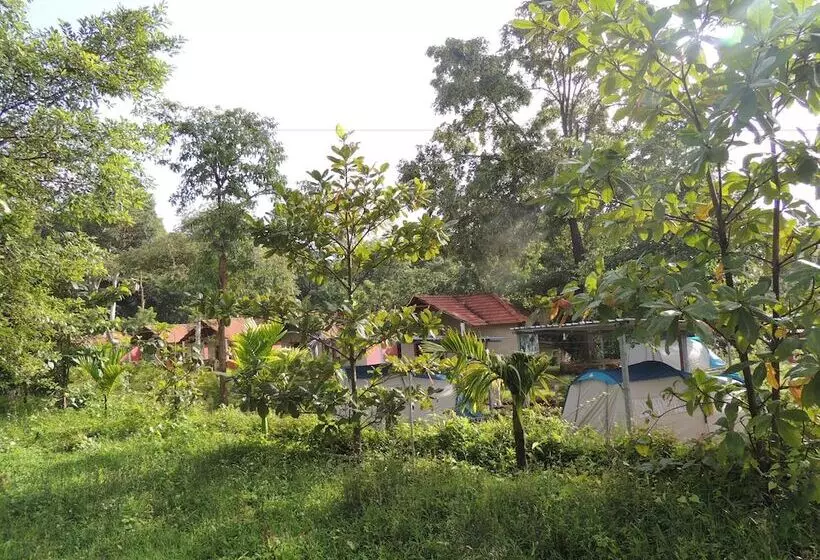 Hotelli Jungle Nest Homestay