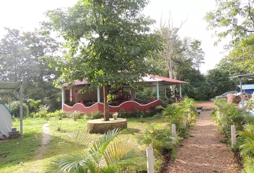 Hotelli Jungle Nest Homestay