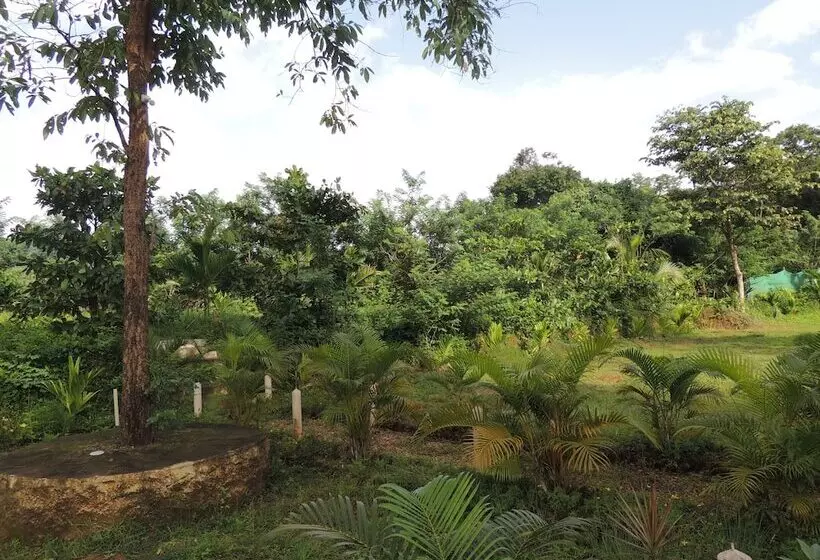 Hotelli Jungle Nest Homestay