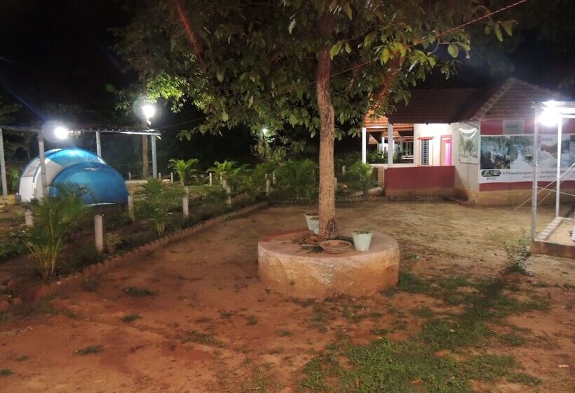 ホテル Jungle Nest Homestay