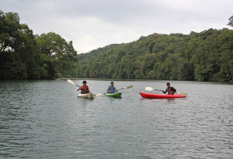 ホテル Jungle Nest Homestay