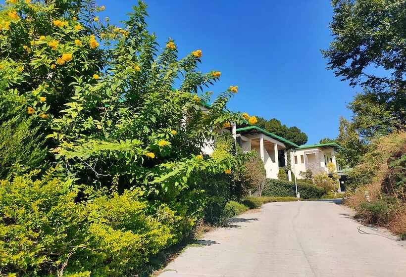 Hotel Suryavilas Luxury Resort & Spa