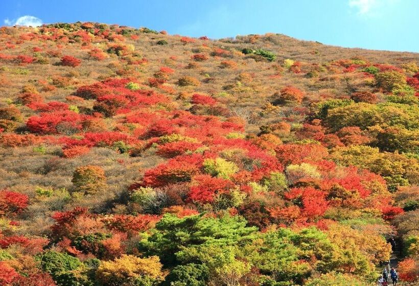 בית מלון כפרי Spa Greenness