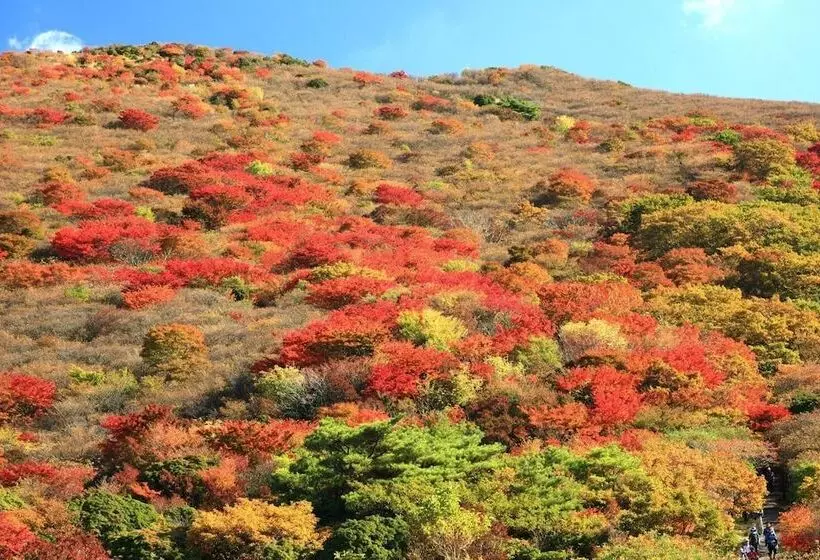 Hotelli Spa Greenness