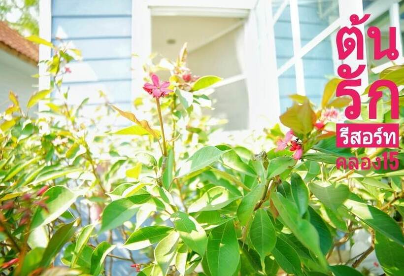 בית מלון כפרי Tonrak Resort