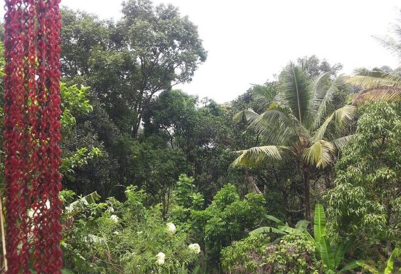 פנסיון Athens Cottage