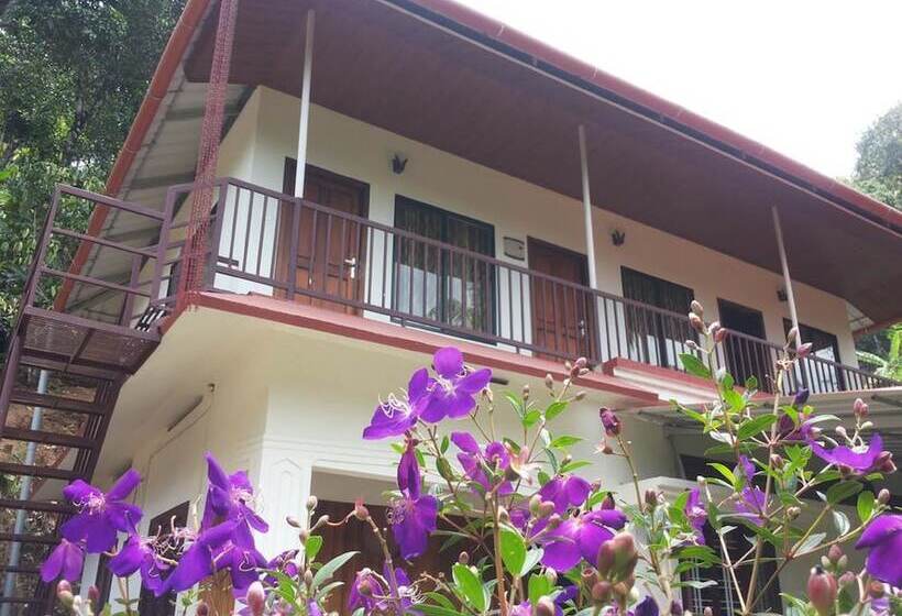 פנסיון Athens Cottage