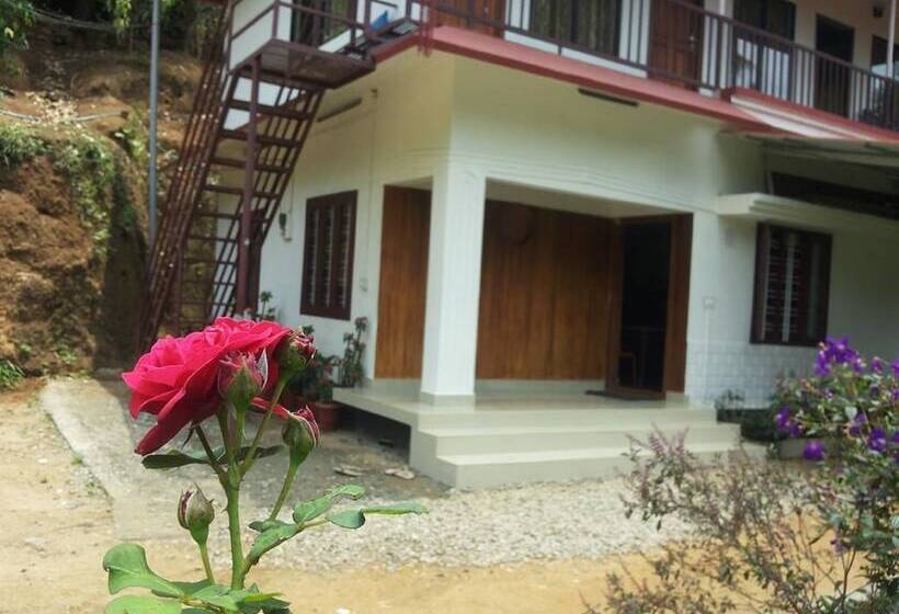 פנסיון Athens Cottage