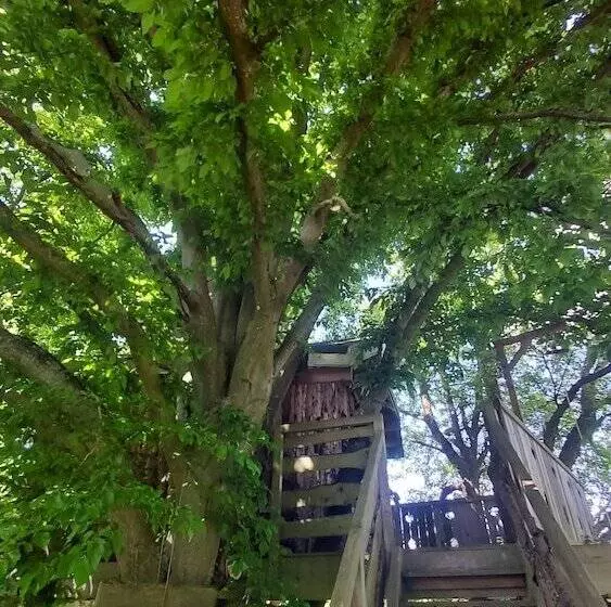 ペンション Au Refuge Des 3 Ours Chambres D Hôtes Et Cabanes