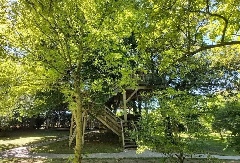 ペンション Au Refuge Des 3 Ours Chambres D Hôtes Et Cabanes