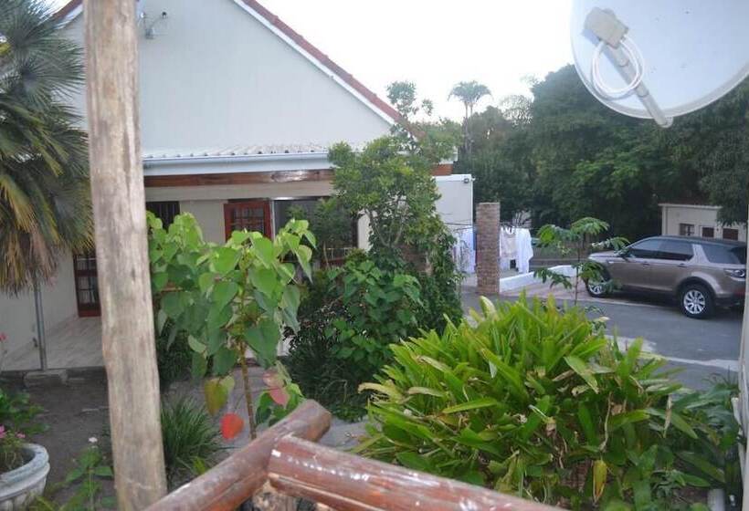 بنسيون Cycad Lodge