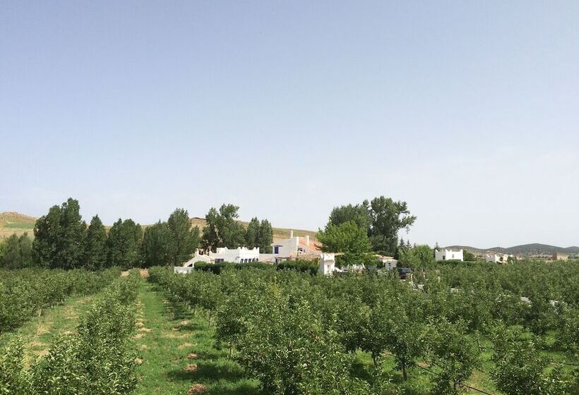 Пансион Gite Dayet Aoua