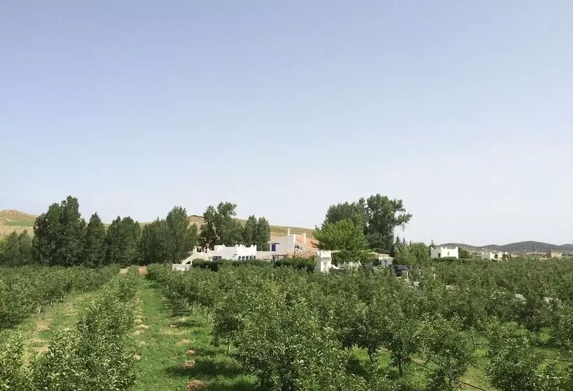 Majatalo Gite Dayet Aoua