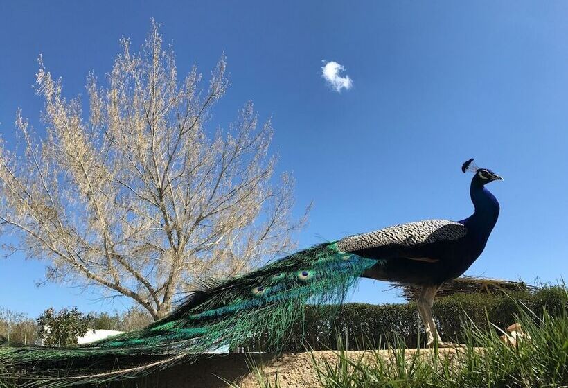 Пансион Gite Dayet Aoua