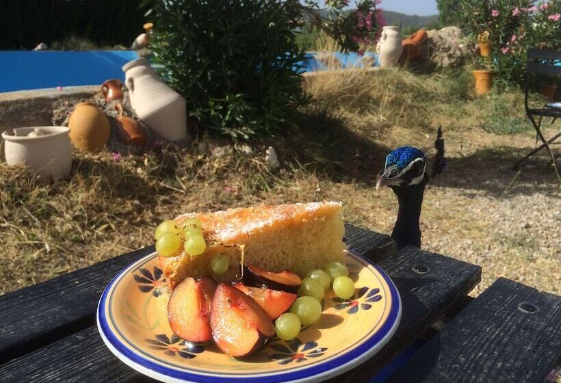 Пансион Gite Dayet Aoua