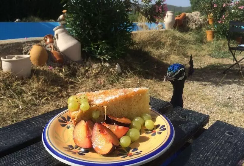 Majatalo Gite Dayet Aoua