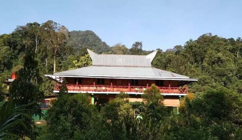 Majatalo Green Forest Tangkahan