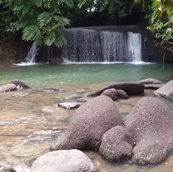 Majatalo Green Forest Tangkahan
