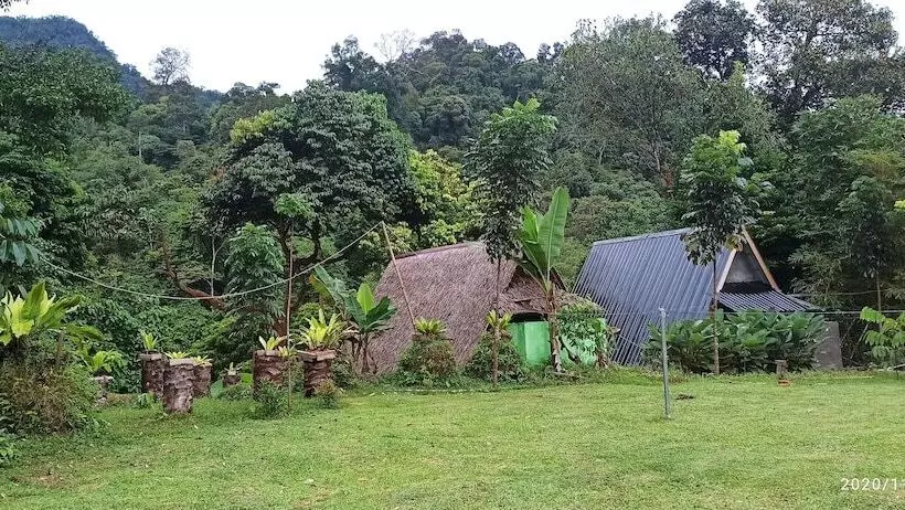 Majatalo Green Forest Tangkahan